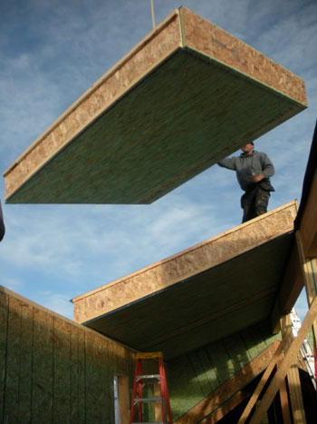 structural insulated panel (SIP)